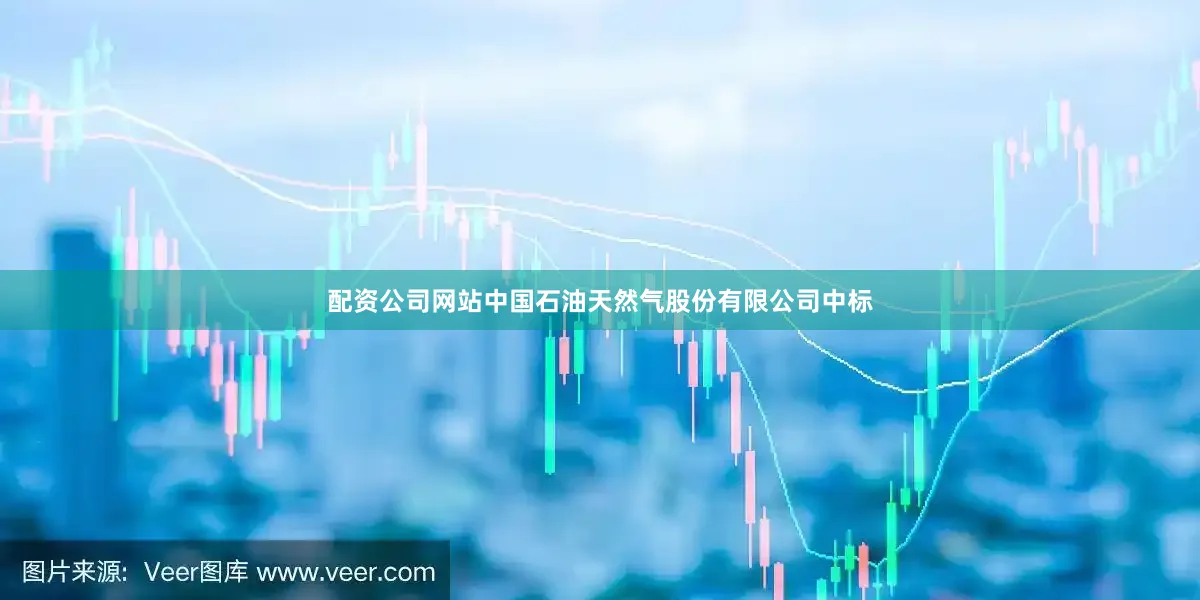 配资公司网站中国石油天然气股份有限公司中标